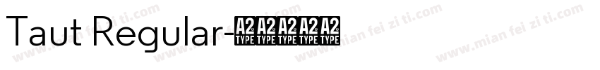 Taut Regular字体转换